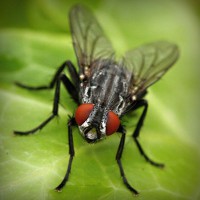 /album/wst01/photolia-a01-jpg/