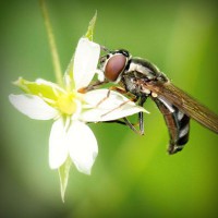 /album/wst01/photolia-a02-jpg/