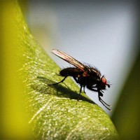 /album/wst01/photolia-a04-jpg/