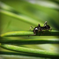 /album/wst01/photolia-a05-jpg/