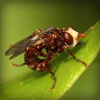 /album/wst01/photolia-a06-jpg/