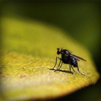 /album/wst01/photolia-a07-jpg/