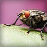 /album/wst01/photolia-a08-jpg/